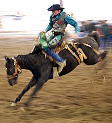 Rodeo bucking bronco.